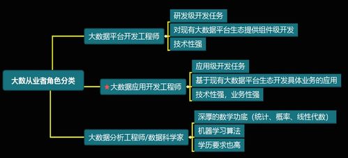 大數(shù)據(jù)開發(fā)工程師與數(shù)據(jù)經(jīng)濟信息咨詢 技能融合與職業(yè)發(fā)展