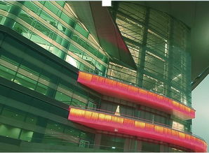 Wing King Tong 在多元業(yè)務(wù)中探尋軟件與咨詢的融合之道